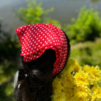 Le Foulard Amore